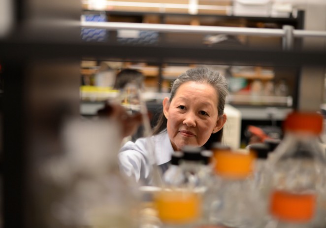 Alice Huang, Science Pioneer Extraordinaire